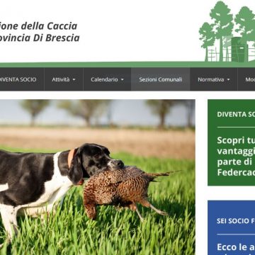 Tutte le notizie di Federcaccia Brescia sul sito ufficiale
