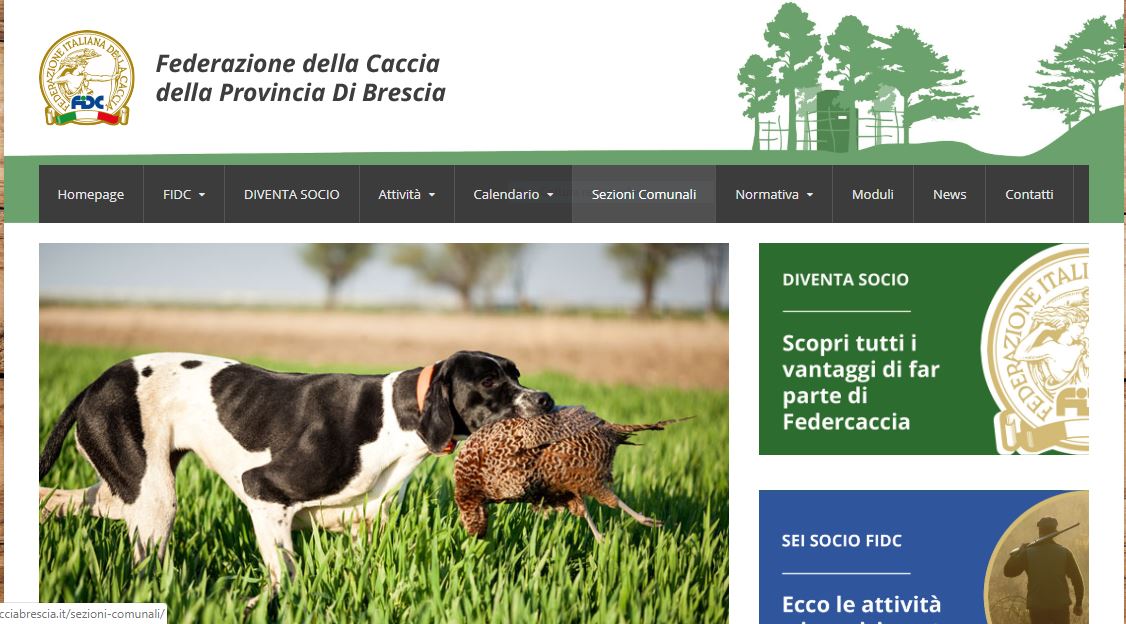 Tutte le notizie di Federcaccia Brescia sul sito ufficiale