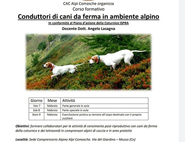 Corso di conduttori di cani da ferma in ambiente alpino in collaborazione con Federcaccia Como