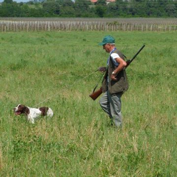Caccia in provincia di Cremona: le domande di iscrizioni agli ambiti territoriali di caccia