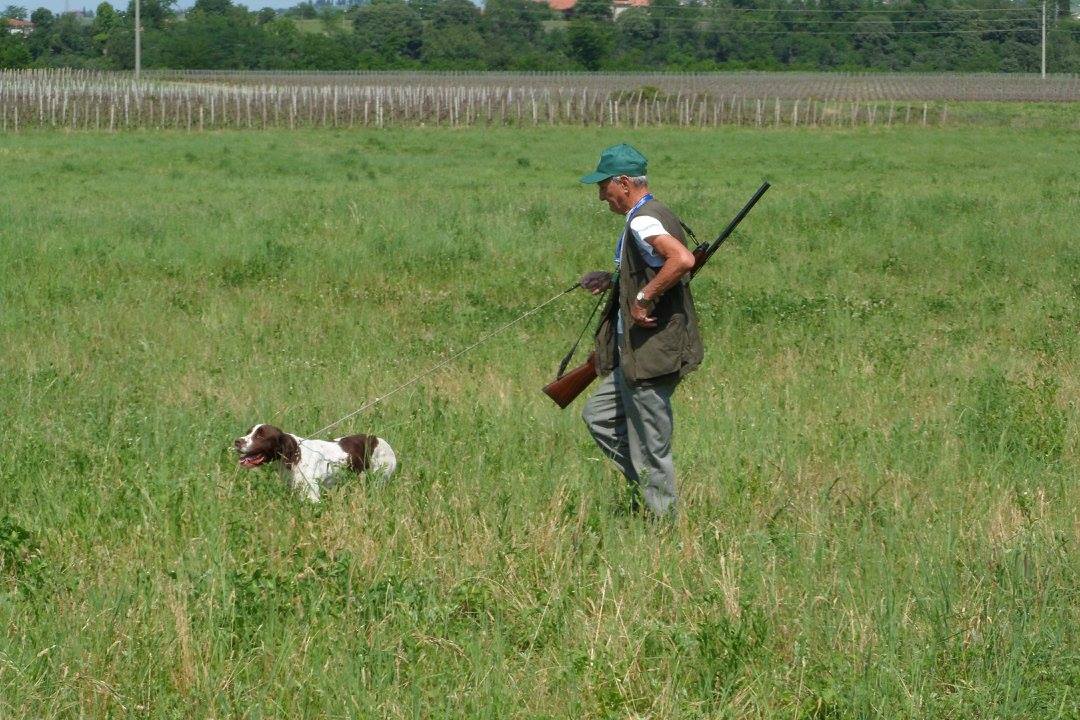 Caccia in provincia di Cremona: le domande di iscrizioni agli ambiti territoriali di caccia