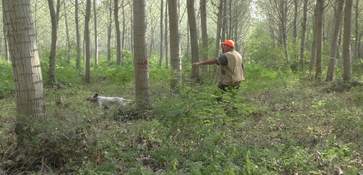 Le associazioni venatorie lombarde rispondono alle sigle animaliste: definiti “frange estremiste” i 55mila cacciatori lombardi chiedono rispetto