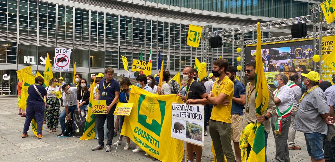 La manifestazione #BastaCinghiali di Coldiretti in tutta Italia: il mondo della caccia a fianco di quello agricolo