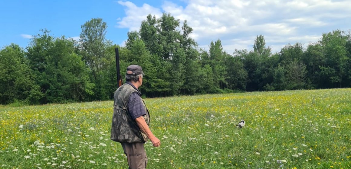 La sentenza del TAR Milano sul calendario 2020/2021: una indicazione in vista della prossima stagione