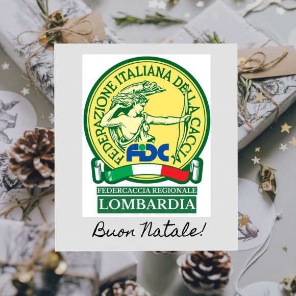 Buon Natale e Felice Anno Nuovo da Fidc Lombardia