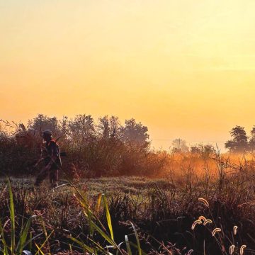 Pillole di Federcaccia: la fine dell’incubo valichi. Fondamentale il supporto di Federcaccia