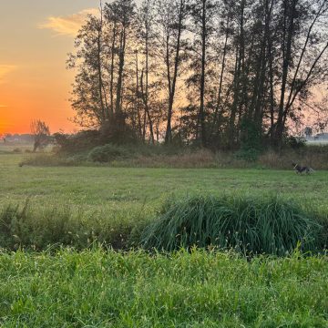 Caccia: approvata la delibera regionale per l’individuazione dei valichi montani