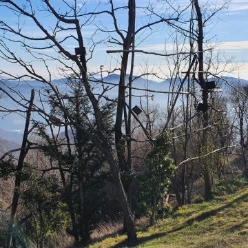 Salvi tre capanni vicini al Sic Valpredina grazie all’ottimo lavoro di Federcaccia. WWF condannato a rifondere le spese