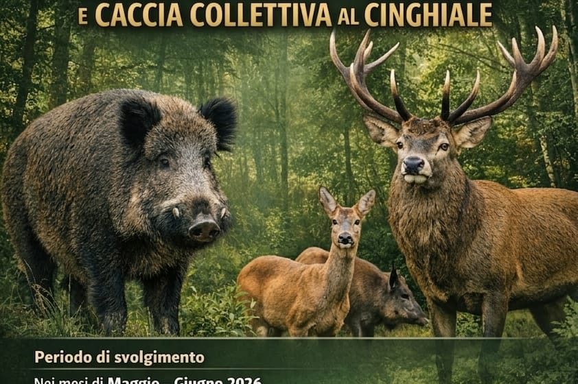 Federcaccia Como: un corso per l’abilitazione al prelievo in selezione agli ungulati e collettiva al cinghiale