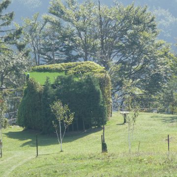 VIDEO- Caccia, Rolfi: centralismo del Governo Conte sconfitto in corte costituzionale. Il commento a caldo di Federcaccia Lombardia