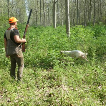 La Cabina di Regia Unitaria Nazionale del Mondo Venatorio scrive al Presidente Fontana per la caccia in Lombardia