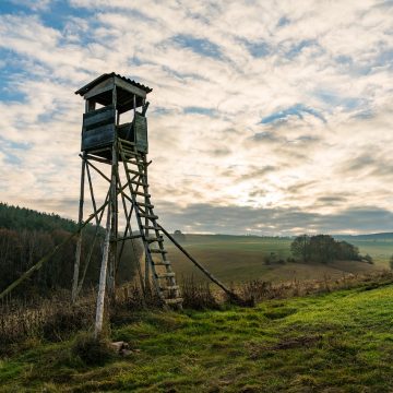 Residenza venatoria in Toscana: la posizione di Federcaccia Lombardia