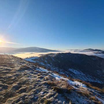 COMUNICATO DEL 26 GENNAIO 2021 – h. 18:00 CACCIA IN ZONA ARANCIONE IN LOMBARDIA