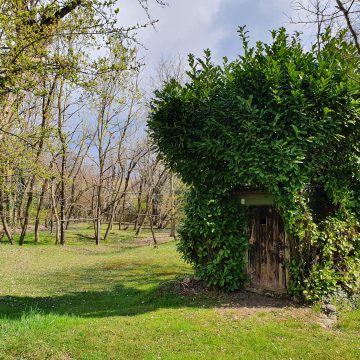 Caccia in Lombardia, le Associazioni venatorie lombarde scrivono alla Regione