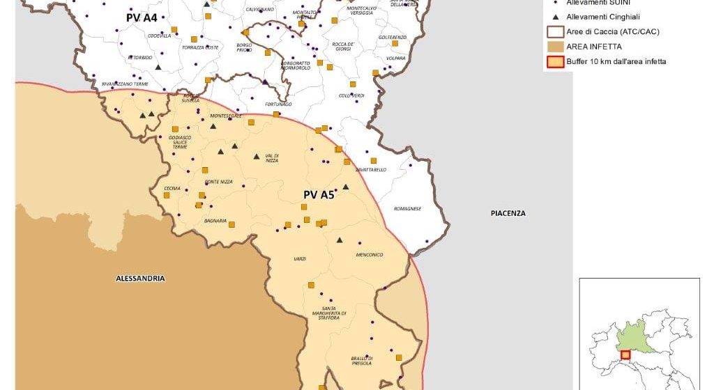 Peste suina africana: l’ordinanza di Regione Lombardia per la zona di Pavia con tutti i divieti per le attività antropiche