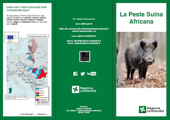 Caso di peste suina africana accertato in Piemonte: le istruzioni da seguire per evitarne la diffusione