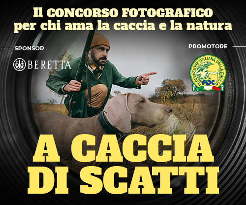 “A caccia di scatti”, un concorso fotografico per il prossimo calendario targato Federcaccia