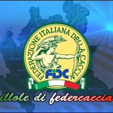 Banca Dati dei richiami vivi: si riparte da zero nel 2024