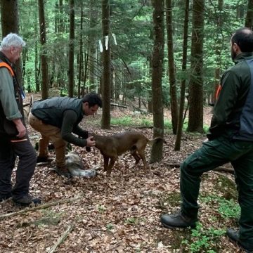 Conduttori cani da traccia protagonisti nel raduno nazionale