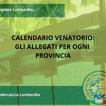 Calendario venatorio lombardo 2024-2025: tutte le regole per la prossima stagione