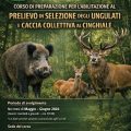 Federcaccia Como: un corso per l’abilitazione al prelievo in selezione agli ungulati e collettiva al cinghiale