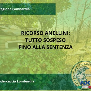 Ricorso anellini: udienza fissata al 5 novembre, tutto sospeso fino alla sentenza