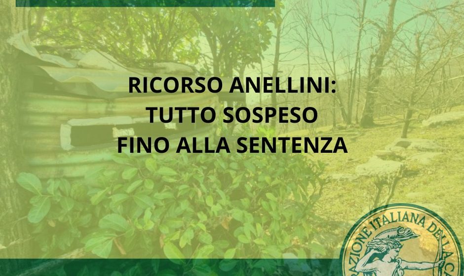 Ricorso anellini: udienza fissata al 5 novembre, tutto sospeso fino alla sentenza